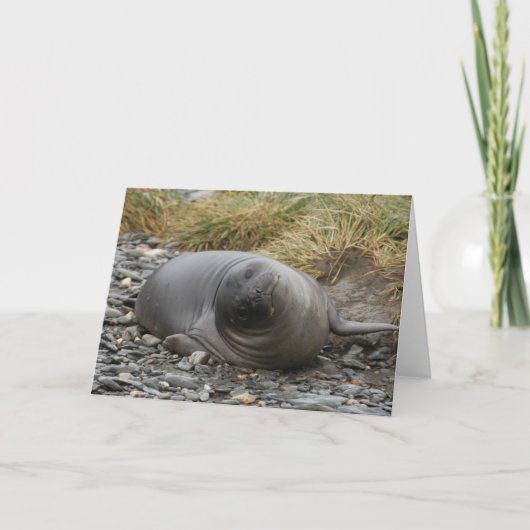 Whassup? Karte (Vorderseite)