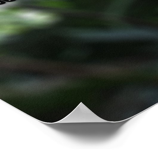 What is Biology? Poster (Ecke)