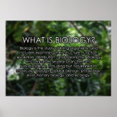 What is Biology? Poster (Vorne)