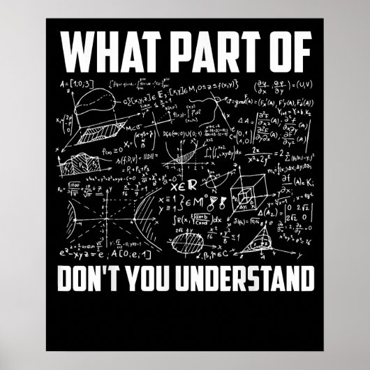 What Part Of Dont You Understand Fun Math Teacher Poster (Vorne)