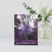 WHAT POSTKARTE (Stehend Vorderseite)