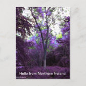 WHAT POSTKARTE (Vorderseite)