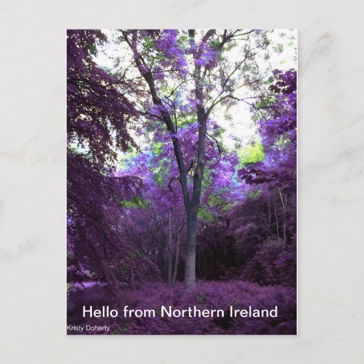 WHAT POSTKARTE (Vorderseite)