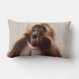 What’s going on lendenkissen