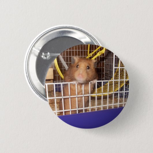 whatca lookin an button (Vorne & Hinten)