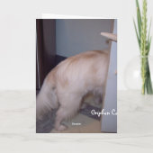 Whatcha, das hallo-Welpen tut? Karte (Rückseite)