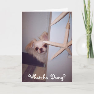 Whatcha, das hallo-Welpen tut? Karte