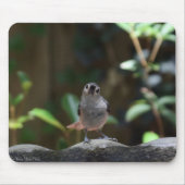 Whatcha Doin Mousepad (Vorne)