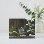 Whatcha Doin Postkarte (Stehend Vorderseite)