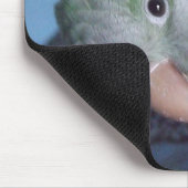 Whatcha Doin'? QuäkerParakeet Mousepad (Ecke)