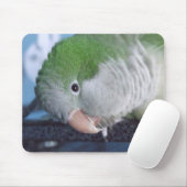 Whatcha Doin'? QuäkerParakeet Mousepad (Mit Mouse)