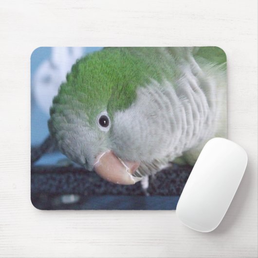 Whatcha Doin'? QuäkerParakeet Mousepad (Mit Mouse)