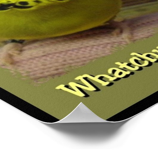 Whatchu bis 3 poster (Ecke)