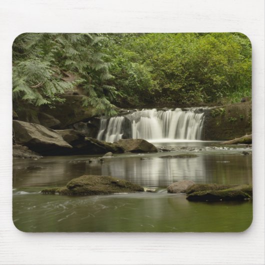 Whatcom Falls Park Mousepad (Vorne)