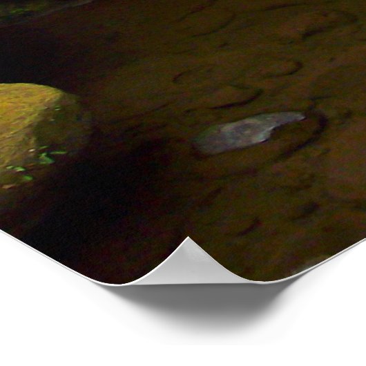 Whatcom Falls Poster (Ecke)