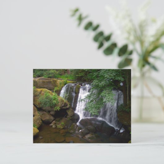 Whatcom Falls Postkarte (Stehend Vorderseite)