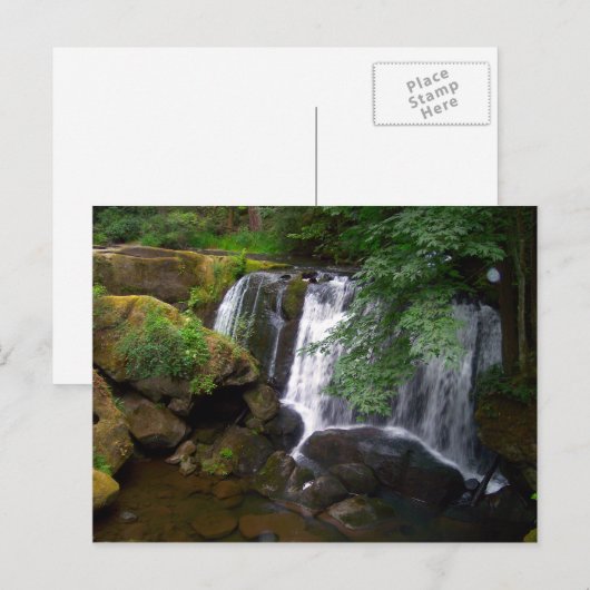 Whatcom Falls Postkarte (Vorne/Hinten)