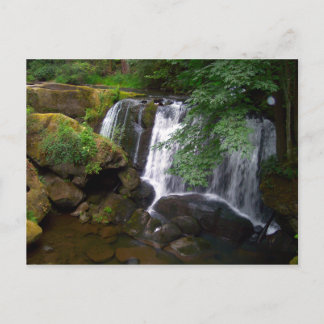 Whatcom Falls Postkarte