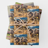 Whatcom Landkreis im Freien Set Geschenkpapier Set (Beispiel)