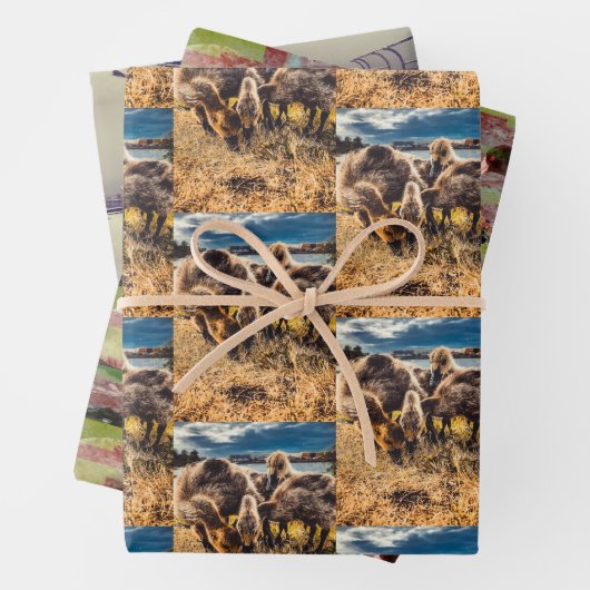 Whatcom Landkreis im Freien Set Geschenkpapier Set (Beispiel)