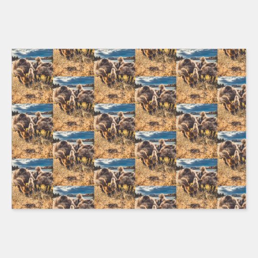 Whatcom Landkreis im Freien Set Geschenkpapier Set (Vorderseite)