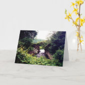 What's Ahead (card) Karte (Gelbe Blume)