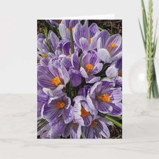 What's in the Frames? 9 Karte (Vorderseite)