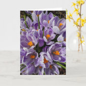 What's in the Frames? 9 Karte (Gelbe Blume)