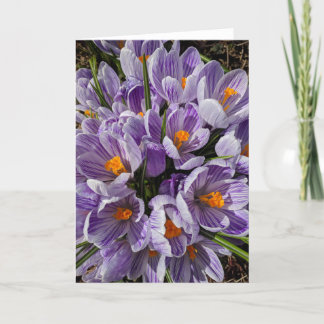 What's in the Frames? 9 Karte