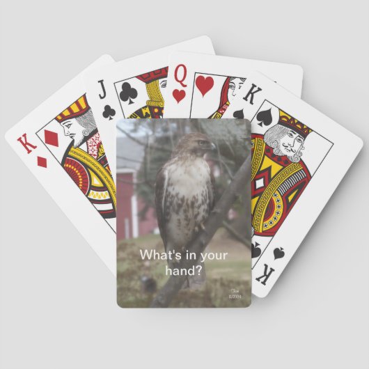 What's in Your Hand Hawk Playing Cards Spielkarten (Rückseite)