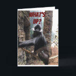 WHAT'S UP BESIDES YOUR AGE? **60th** BIRTHDAY Karte<br><div class="desc">ON  YOU ON YOUR ****60th BIRTHDAY**** A BIT OF A TEASE FROM THIS GORILLA WHO WANTS TO KNOW ***WHAT'S UP BESIDES YOUR AGE?***</div>