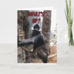 WHAT'S UP BESIDES YOUR AGE? **70th** BIRTHDAY Karte<br><div class="desc">ON  YOU ON YOUR ****70th BIRTHDAY**** A BIT OF A TEASE FROM THIS GORILLA WHO WANTS TO KNOW ***WHAT'S UP BESIDES YOUR AGE?***</div>