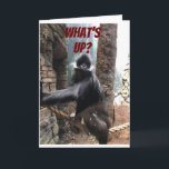 WHAT'S UP BESIDES YOUR AGE? **70th** BIRTHDAY Karte<br><div class="desc">ON  YOU ON YOUR ****70th BIRTHDAY**** A BIT OF A TEASE FROM THIS GORILLA WHO WANTS TO KNOW ***WHAT'S UP BESIDES YOUR AGE?***</div>