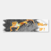 What's up? Gecko, leopard gecko, Autoaufkleber (Vorne)