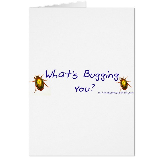 WhatsBuggingYouBumperSticker (Vorne)