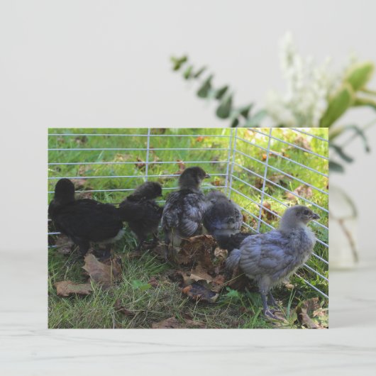 Whatup - Hähnchen-Hintern Einladung (Stehend Vorderseite)