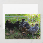 Whatup - Hähnchen-Hintern Einladung (Vorne/Hinten)