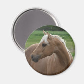 Whatzlin Jac Magnet (Vorderseite/Rückseite)