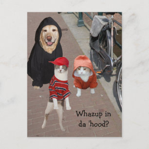 Whazup in da 'hood? postkarte