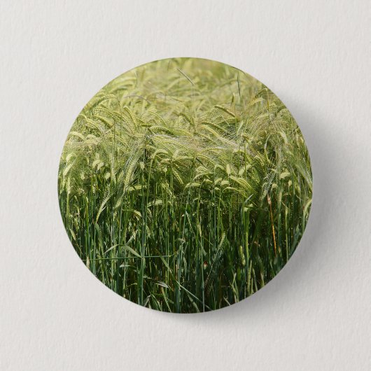 Wheat - Beautiful! Button (Vorderseite)