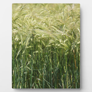 Wheat - Beautiful! Fotoplatte
