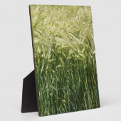 Wheat - Beautiful! Fotoplatte (Seite)