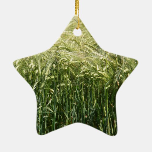 Wheat - Beautiful! Keramikornament (Hinten)