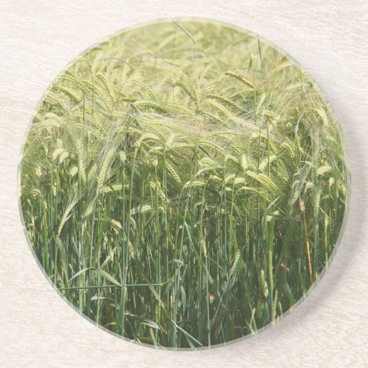 Wheat - Beautiful! Sandstein Untersetzer (Vorne)