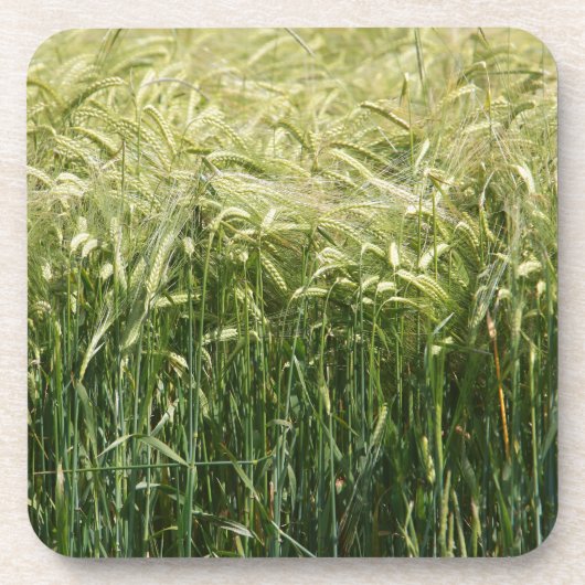 Wheat - Beautiful! Untersetzer (Vorderseite)