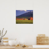 Wheat field in the Wallowa Valley, Just outside Poster (Küche)