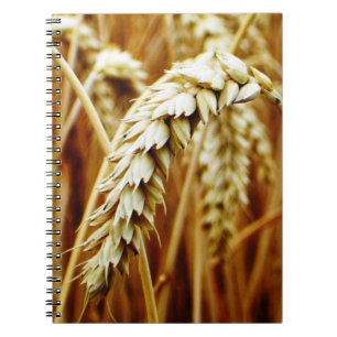 Wheat-Field-Notebook Notizblock