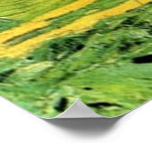 Wheat Fields Under Clouded Sky Van Gogh Poster (Ecke)