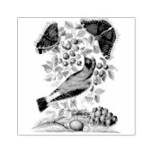 Wheatear Bilberry Camberwell Birds Scrapbooking Gummistempel (Prägung)