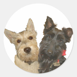 Wheaten & Black Schottische Terrier Runder Aufkleber